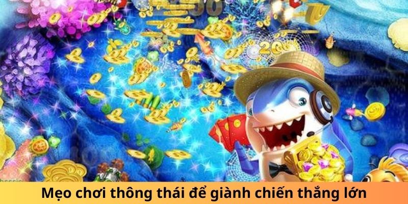 Mẹo chơi thông thái để giành chiến thắng lớn